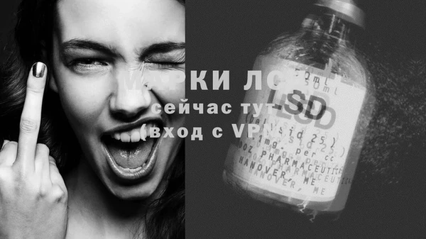 ECSTASY Ельня